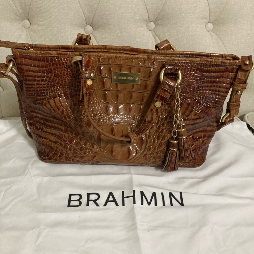 Mini Asher Brahmin